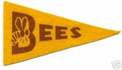 Boston Bees